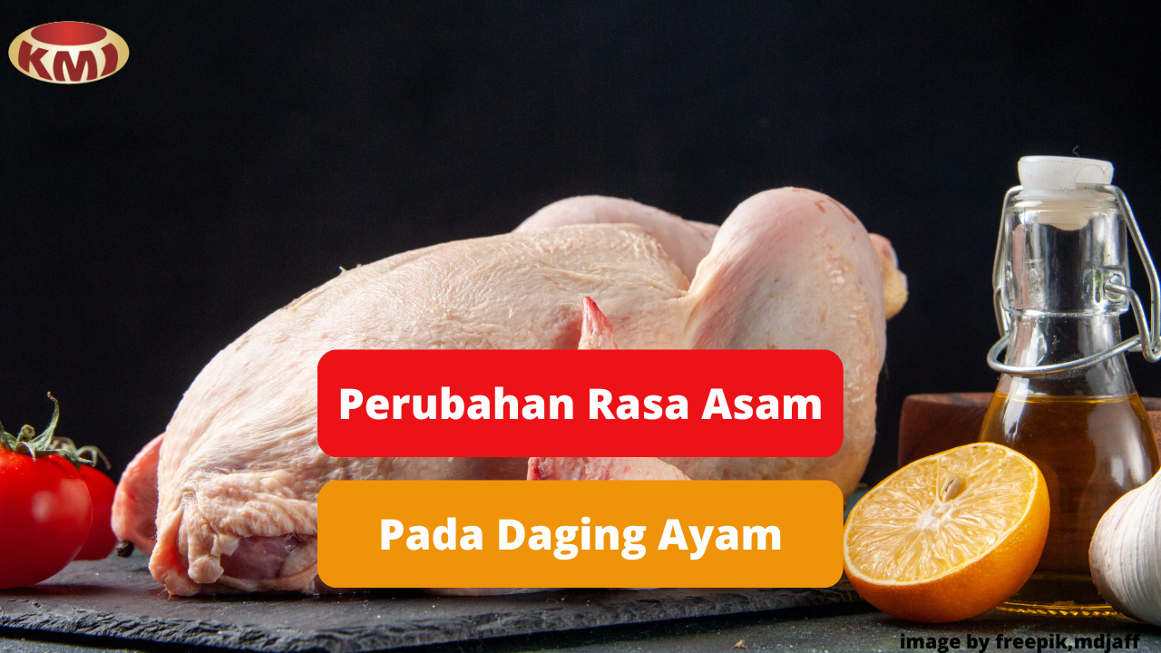 Berikut Inilah Penyebab Perubahan Daging Ayam Menjadi Asam